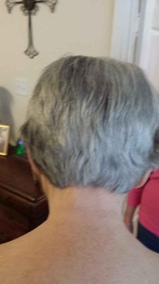 Carol Bailey's album, Mobile Uploads