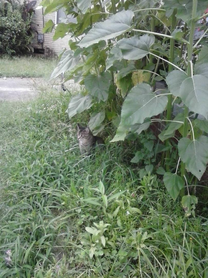 Snuck up on him for a picture
