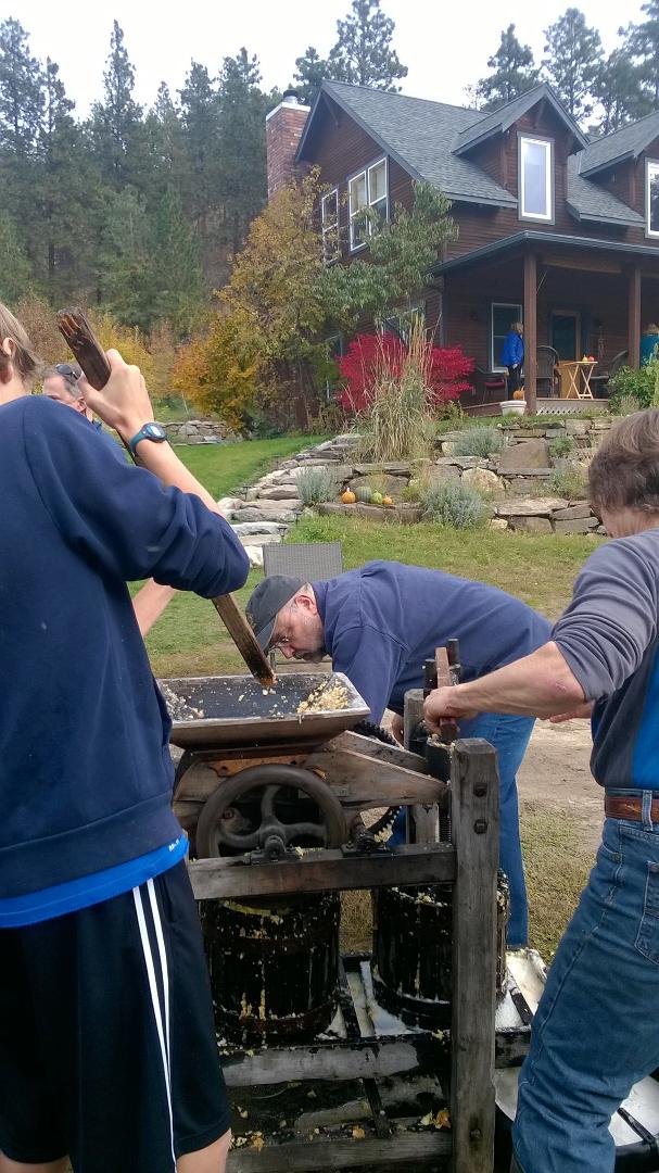 Such a fun afternoon - Cider Pressing party at the home of nearby friends. This cider press is about 100 years old; we pressed a full bin of galas and goldens. Great time!