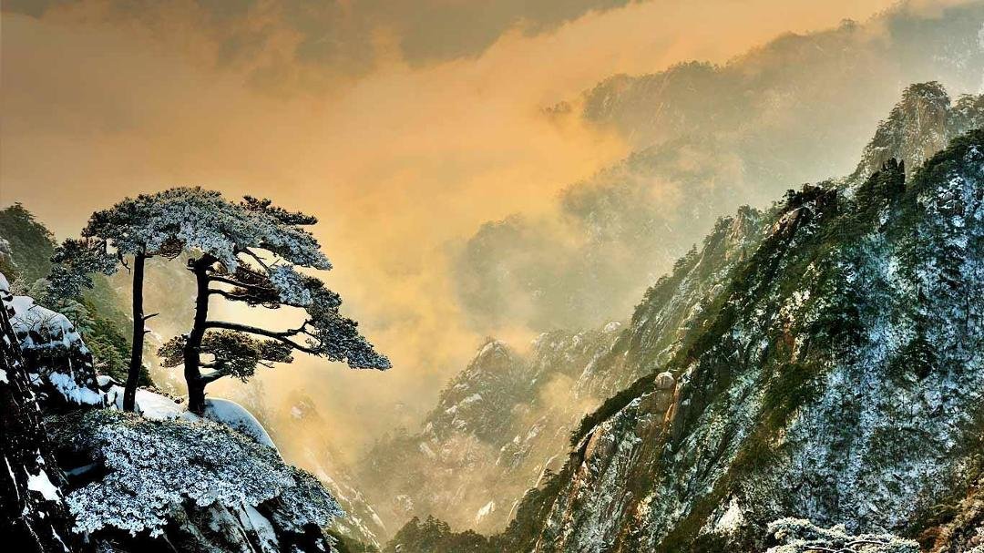 A Beautiful Picture: snow on mouton