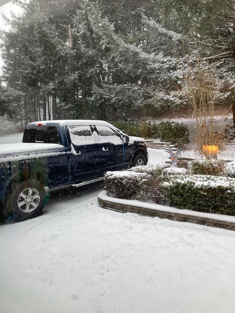 Good snowy morning. Have a great day!