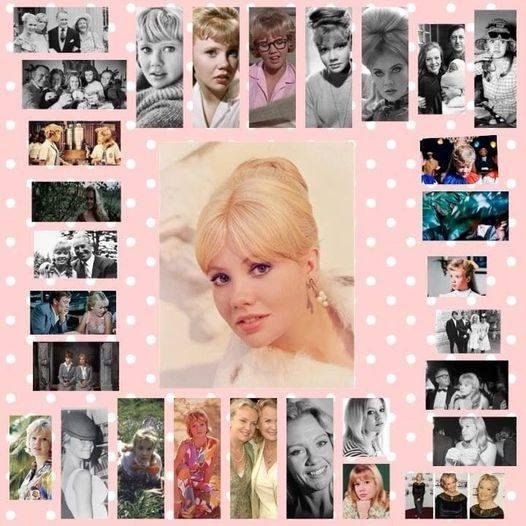 HAPPY BIRTHDAY!  Hayley Catherine Rose Vivien Mills (born 18 April 1946)[1] is an English actress. The daughter of Sir John Mills and Mary Hayley Bell and younger sister of actress Juliet Mills