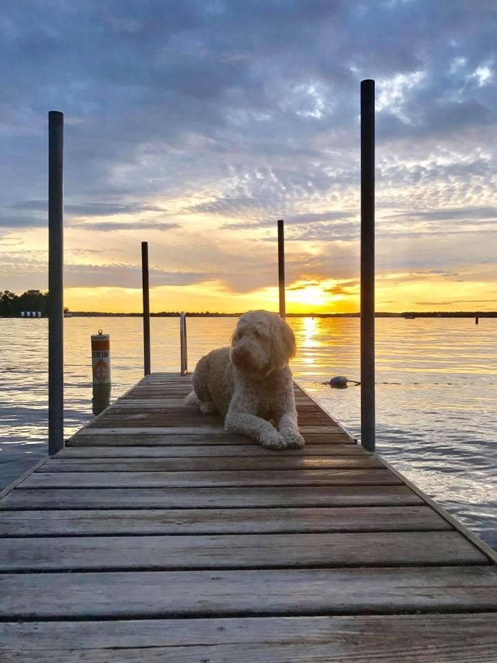 Steve Olson's album, Mobile Uploads