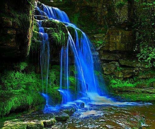 Edna Lee's album, Timeline Photos