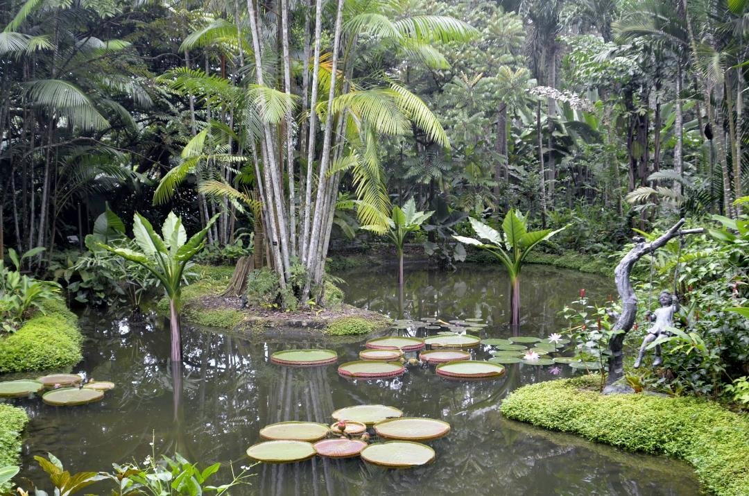 Singapore-Botanic Gardens-Pond