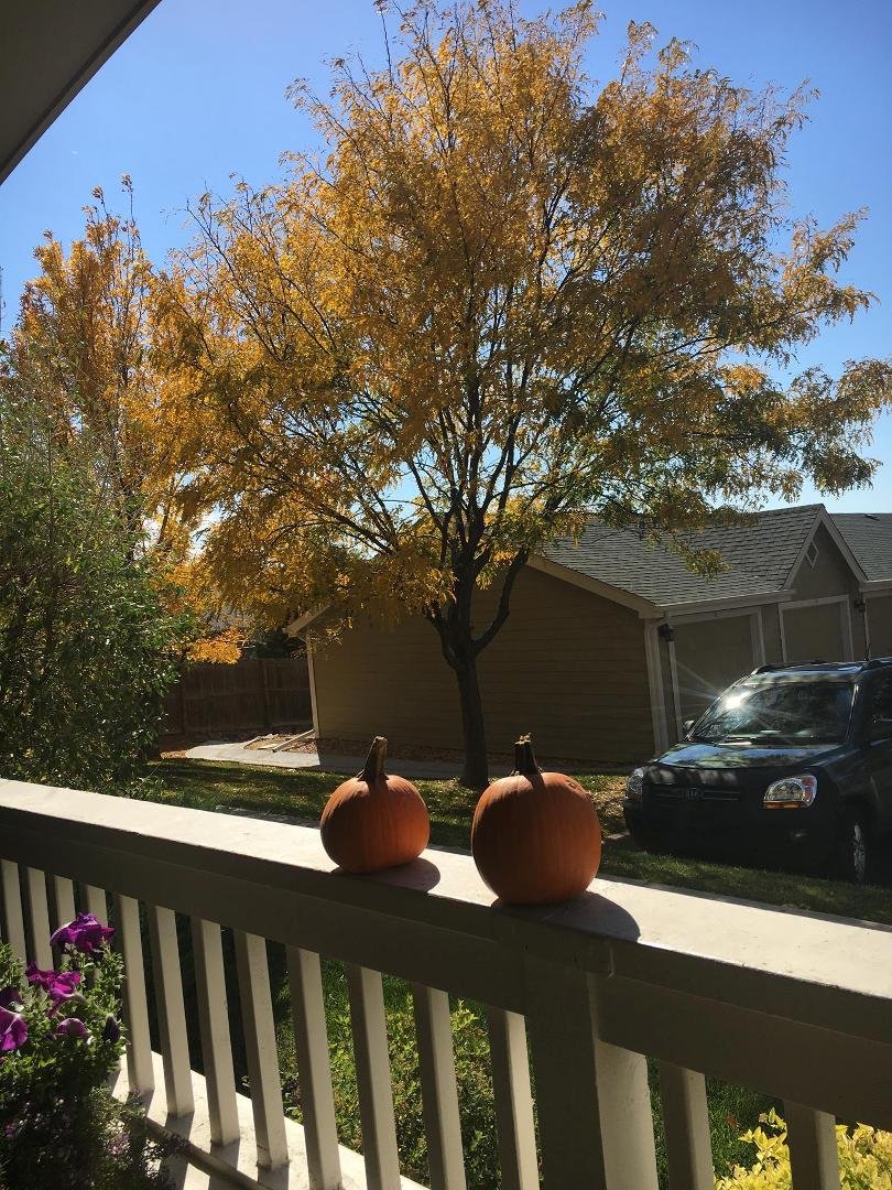 Fall is here!