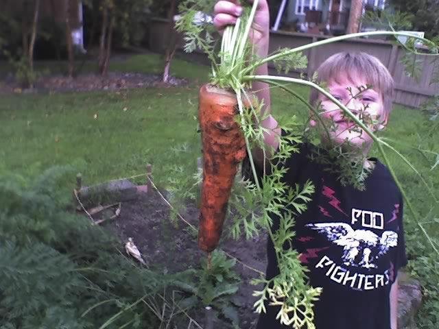 you have to see this carrot its big
