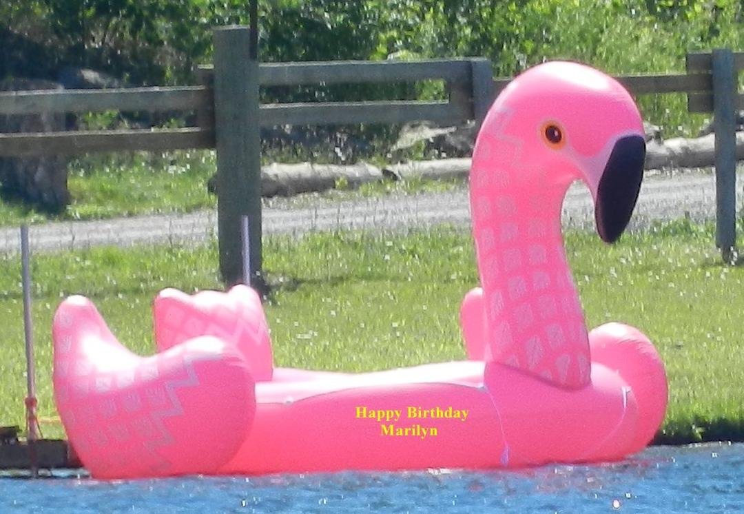 We did not see this until we enlarged