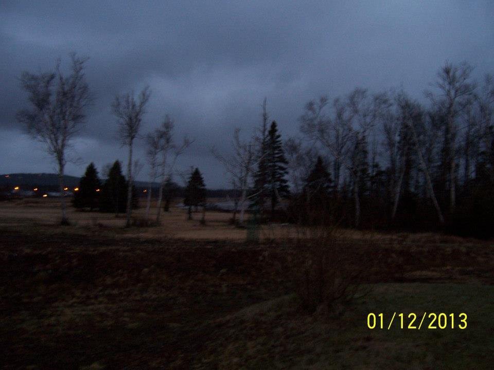 Neighbours to the north of us (the marsh)