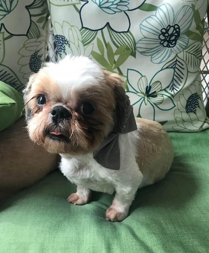 Edgar looks pretty