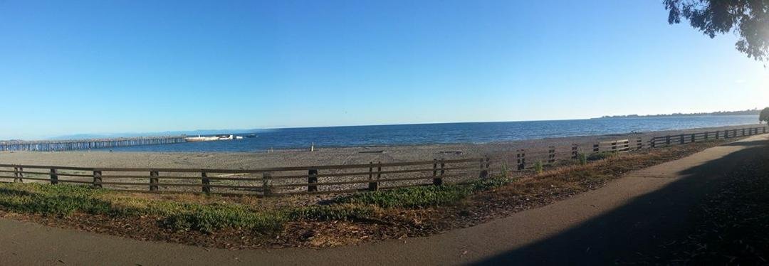 Beautiful night, great walk with either dolphins or a whale out playing with the birds....still loving the life.