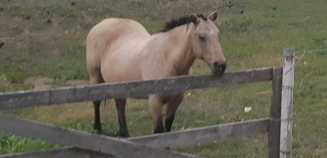 Lost our Honey today she was 27 .She will truly be missed by all who knew her
