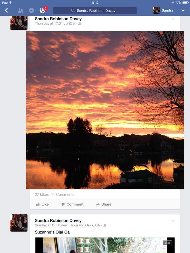 Sandra Robinson's album, Mobile Uploads
