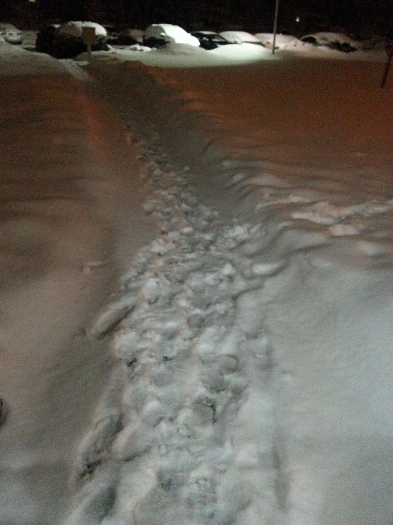 Another 6 inches last night!!!! We surrender!!