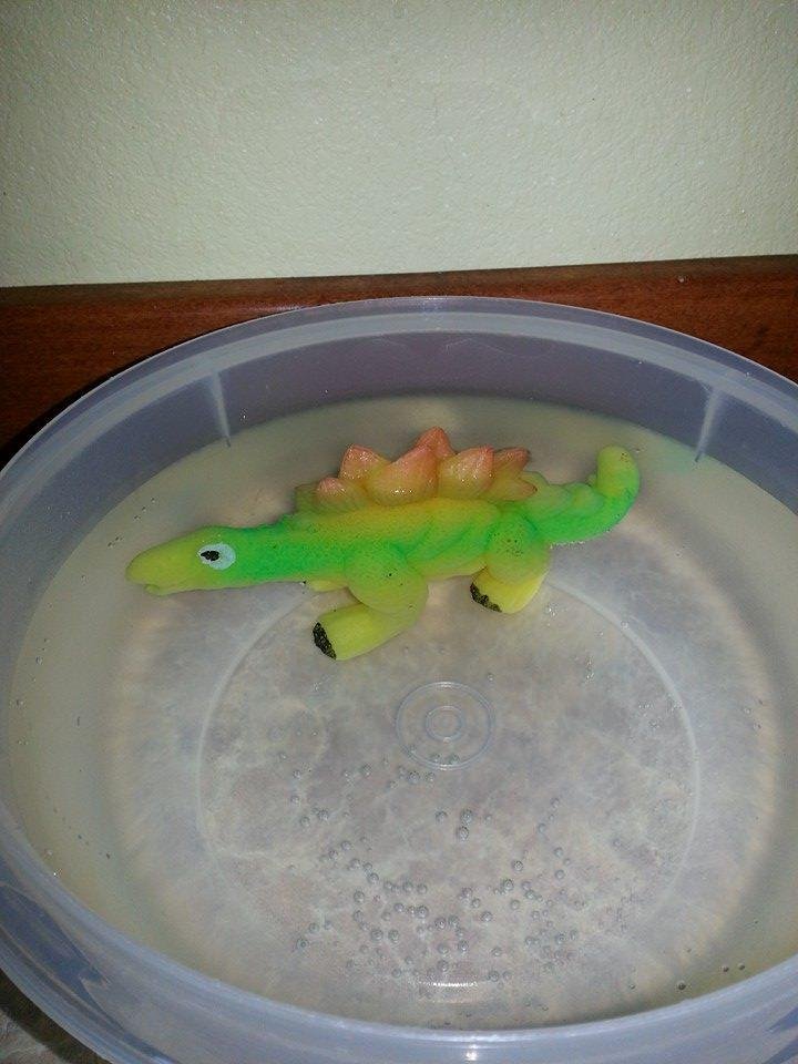Now has to stay in water till it's done growing.Will post when done.
