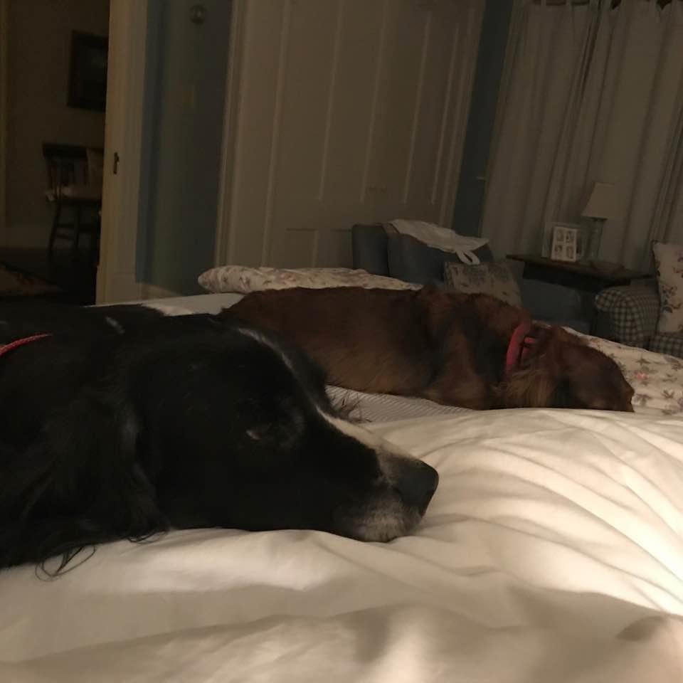 Nite all
