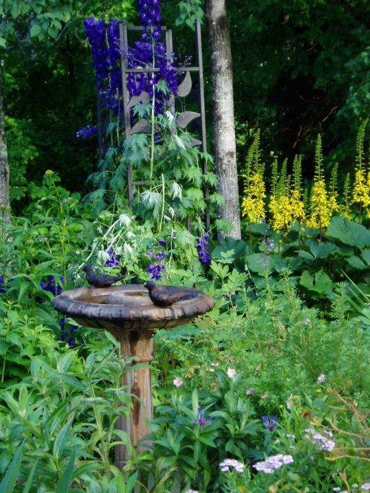 Rosemary Capocci's album, Gardens 2009