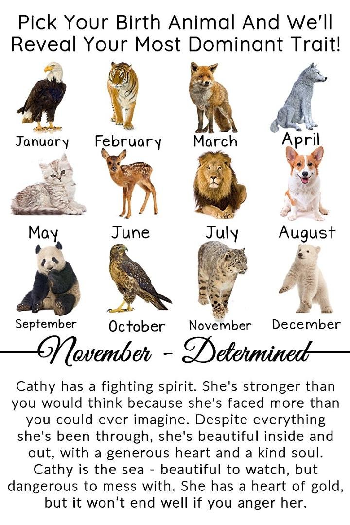 no wonder I like cats so much!