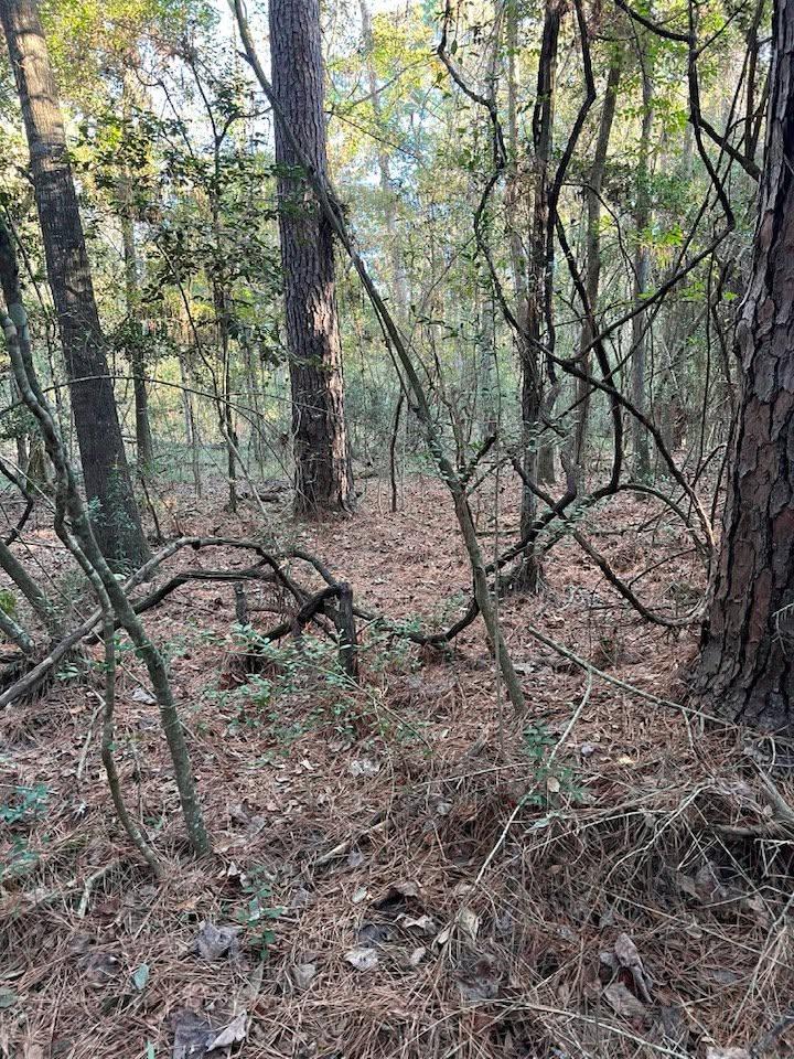 Fascinated with tangles…