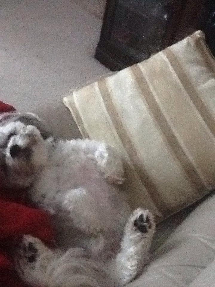 This is what he does on a stormy morning.