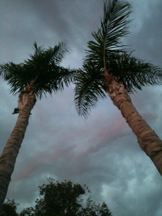 Laying on the park bench in my backyard and watching the weird sky.