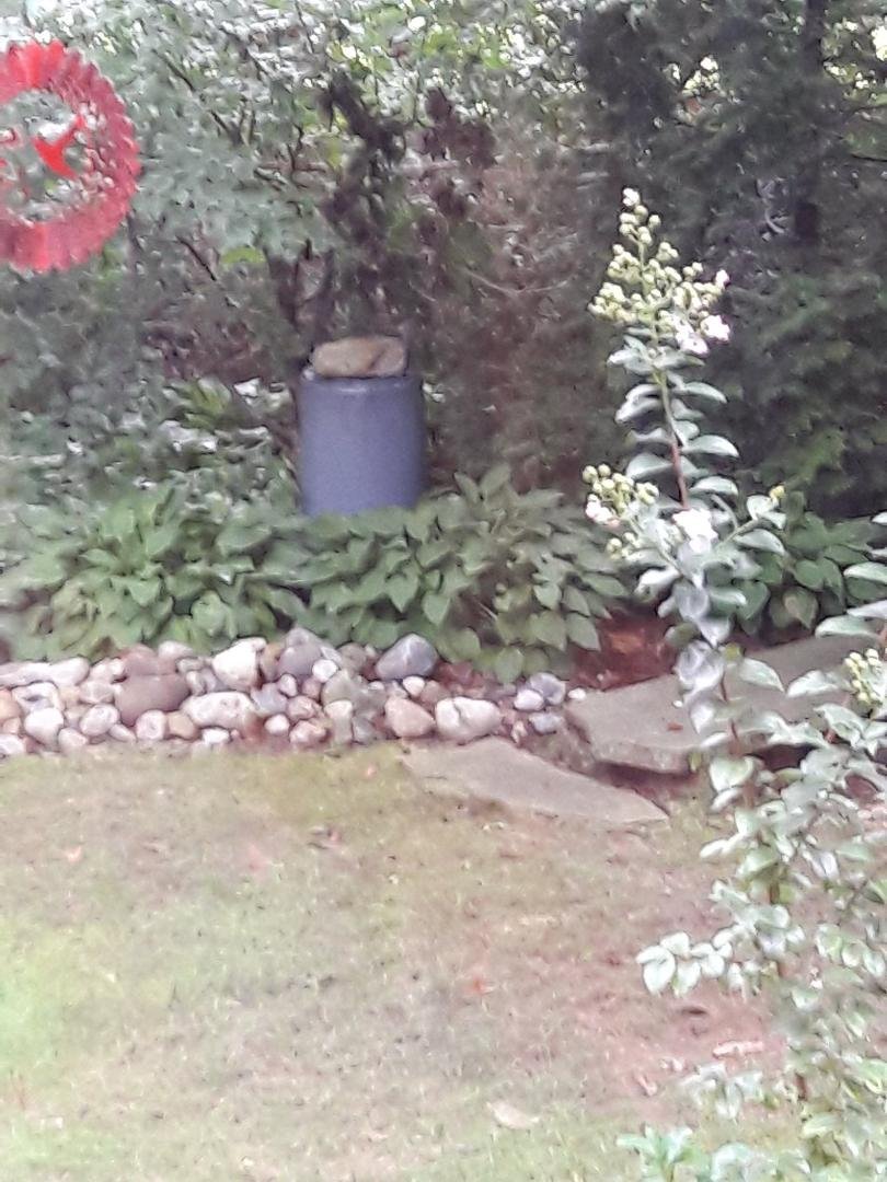 Entrapment in the trash can. Lasted about 15 minutes until he dug his way out.