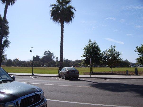 Carpinteria State Park from my sidewalk