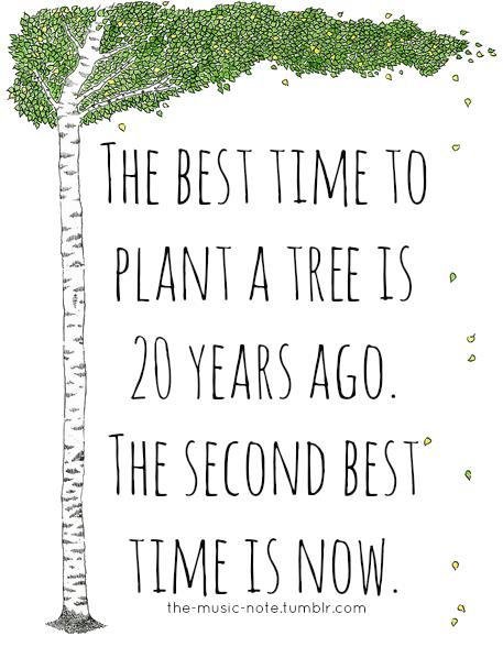 Kim Jarvis' album, Timeline photos