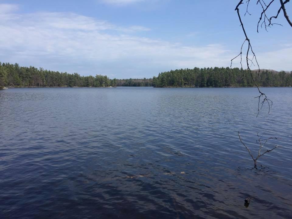 Beautiful Hardy Lake