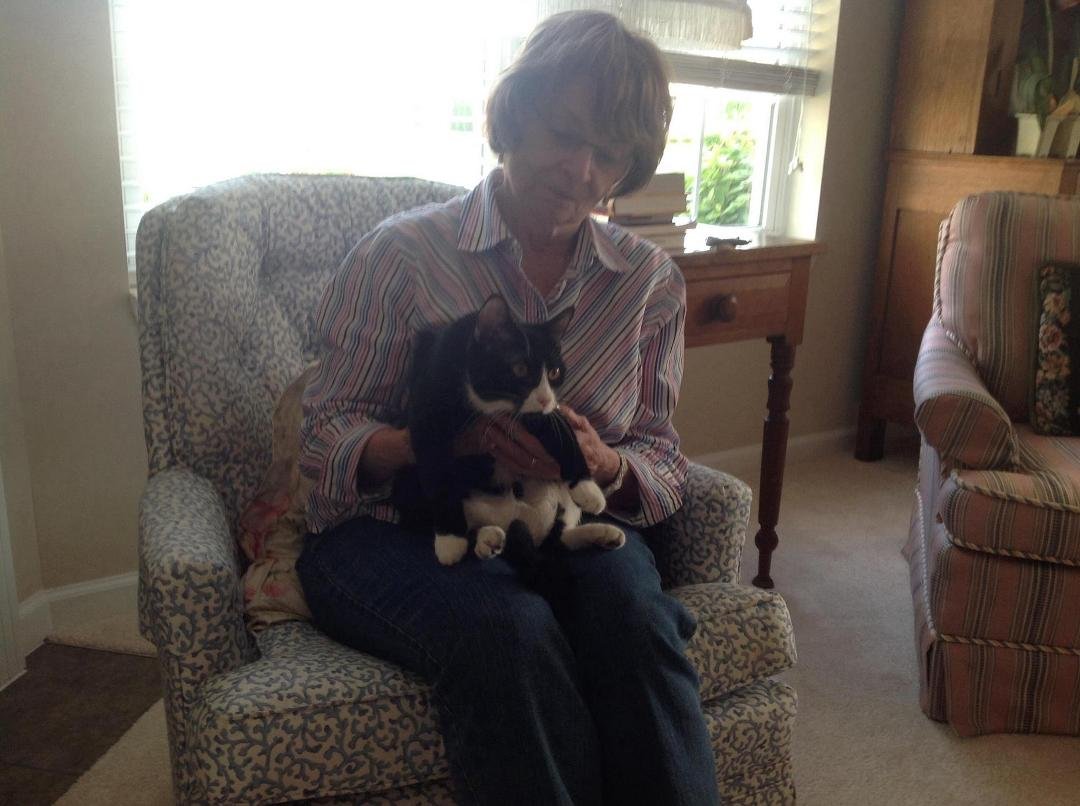 Nancy Jeffries' album, Mobile Uploads