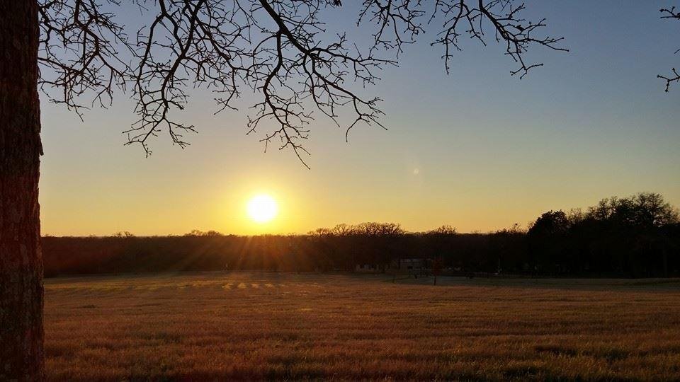 Barbara Clark's album, Mobile Uploads
