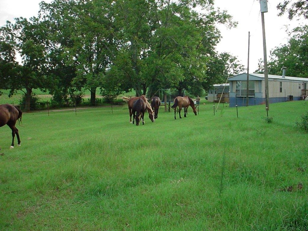 East pasture w/ mobile home rentals in background
