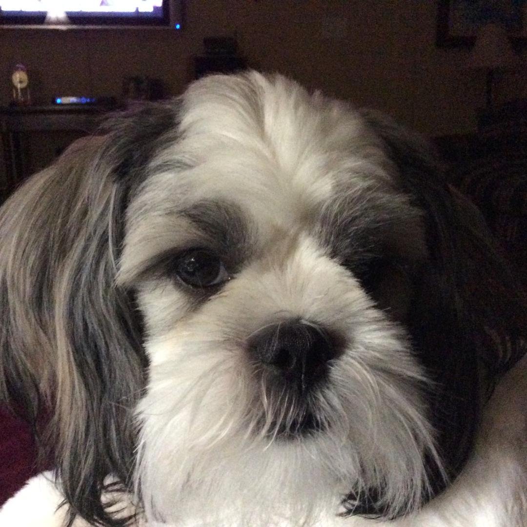 Hi there