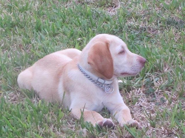 Jim Greig's album, Timeline Photos