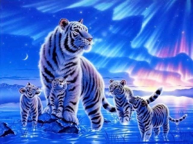 Tracy Leopold's album, Mobile Uploads
