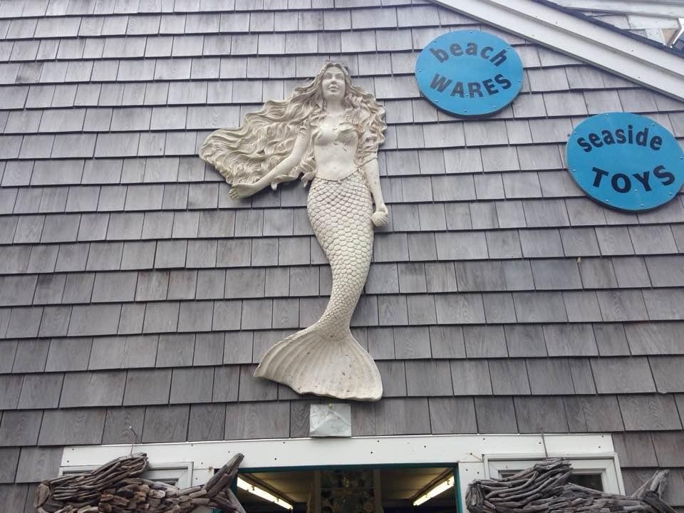 Greetings from Wellfleet!