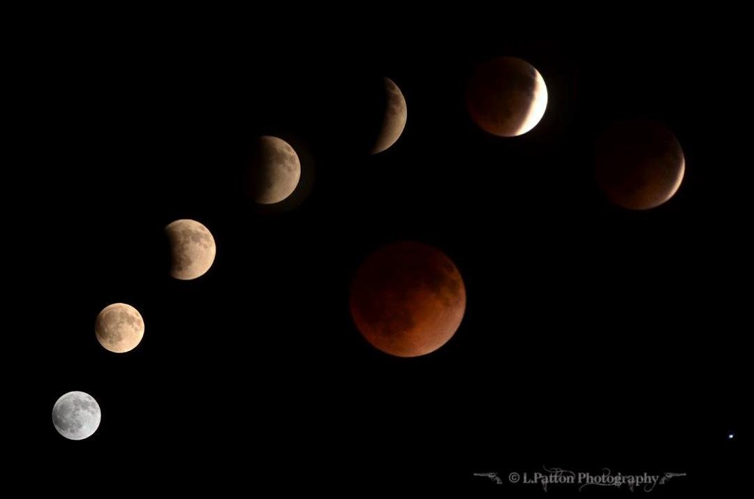 Leon Payne's album, The Moon