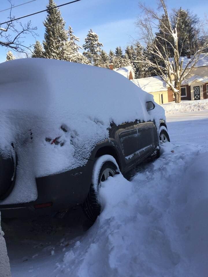 It’s 16 below and my hands went numb just taking the bird feeder out. I don’t know if the poor car will even start? I haven’t been out in several days.