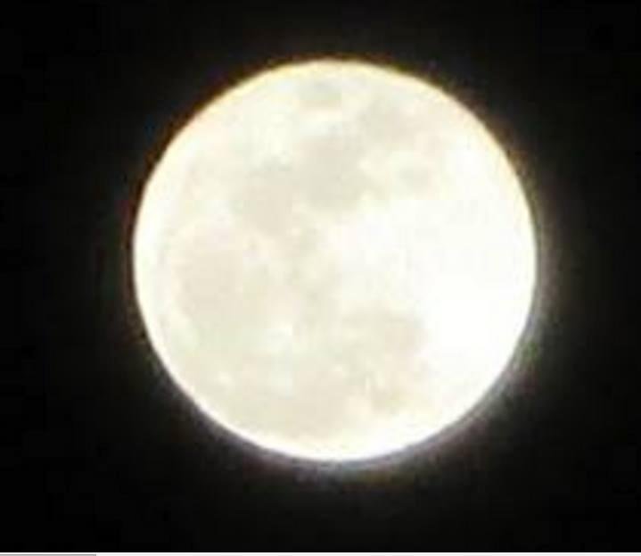 Robert Friedman's album, Timeline Photos