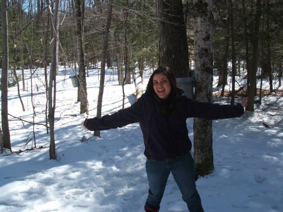 Pamela Johnson's album, Maria And Sugar On Snow