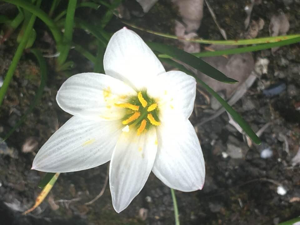Chuck Wilcox's album, Timeline Photos