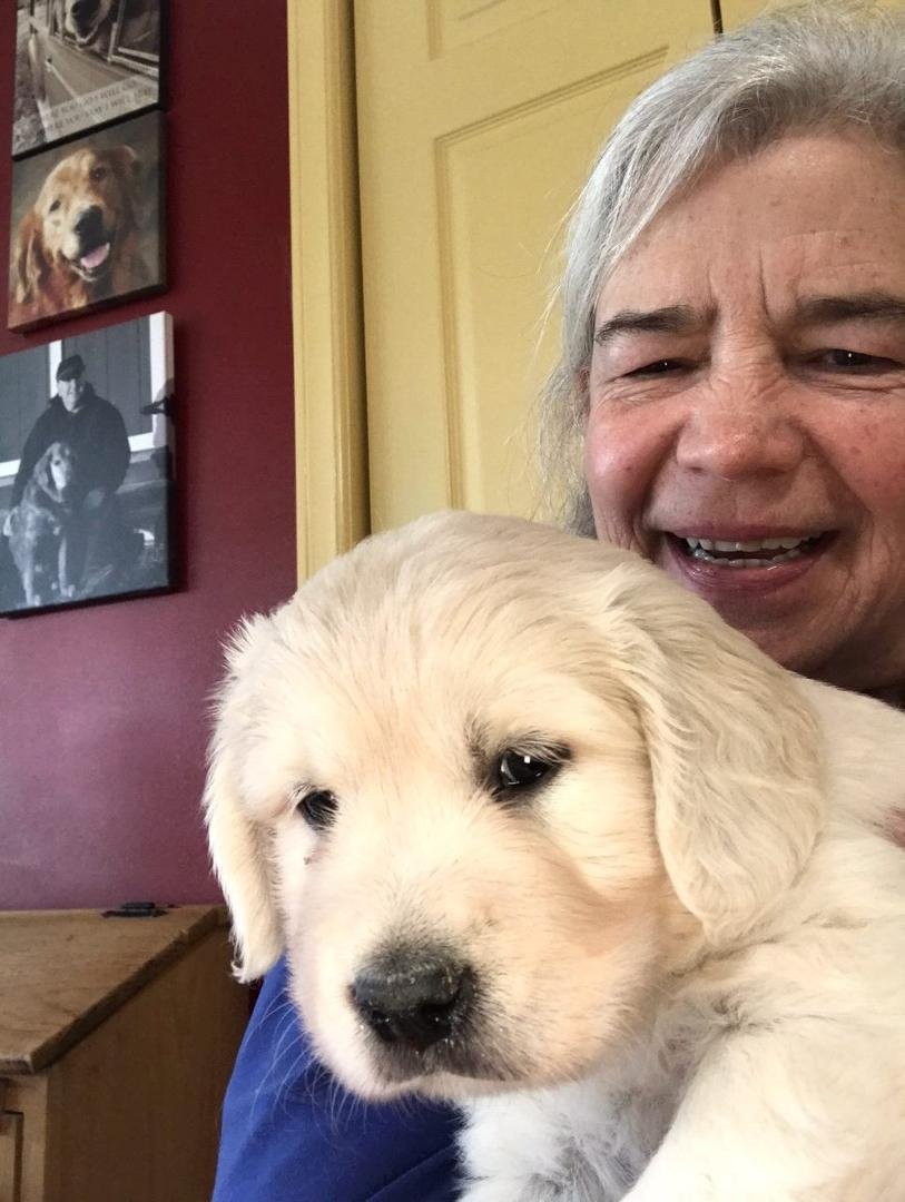 Nikki had a pre-pickup visit with Arabella today in Bangor, Maine. Bella will be coming here in three weeks.