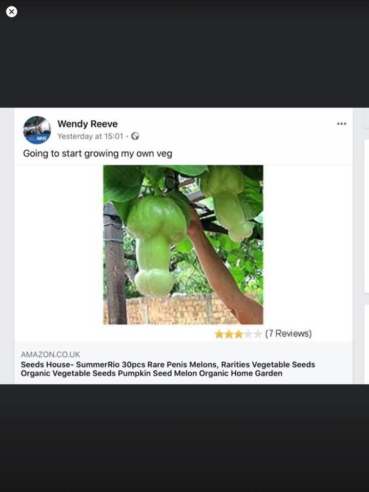 Ha ha Penis melon. Thanks Koogle😷😁
