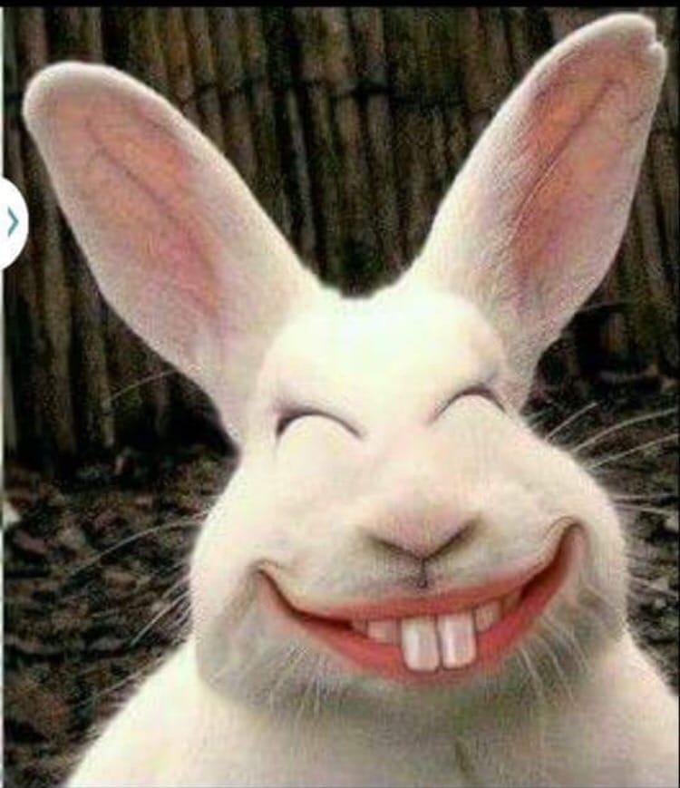 To my family and friends  - may you all have a wonderful and blessed Easter.