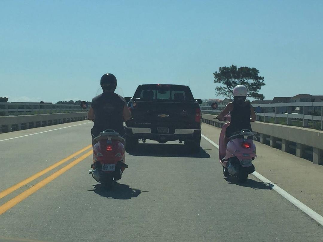 Easy rider
🎧🎼Get your motor running 🎶