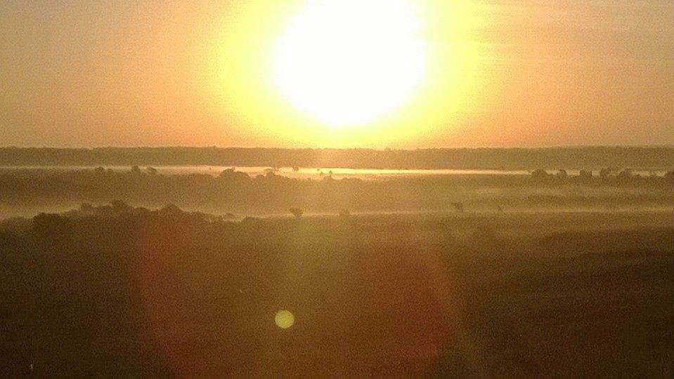 Good morning!