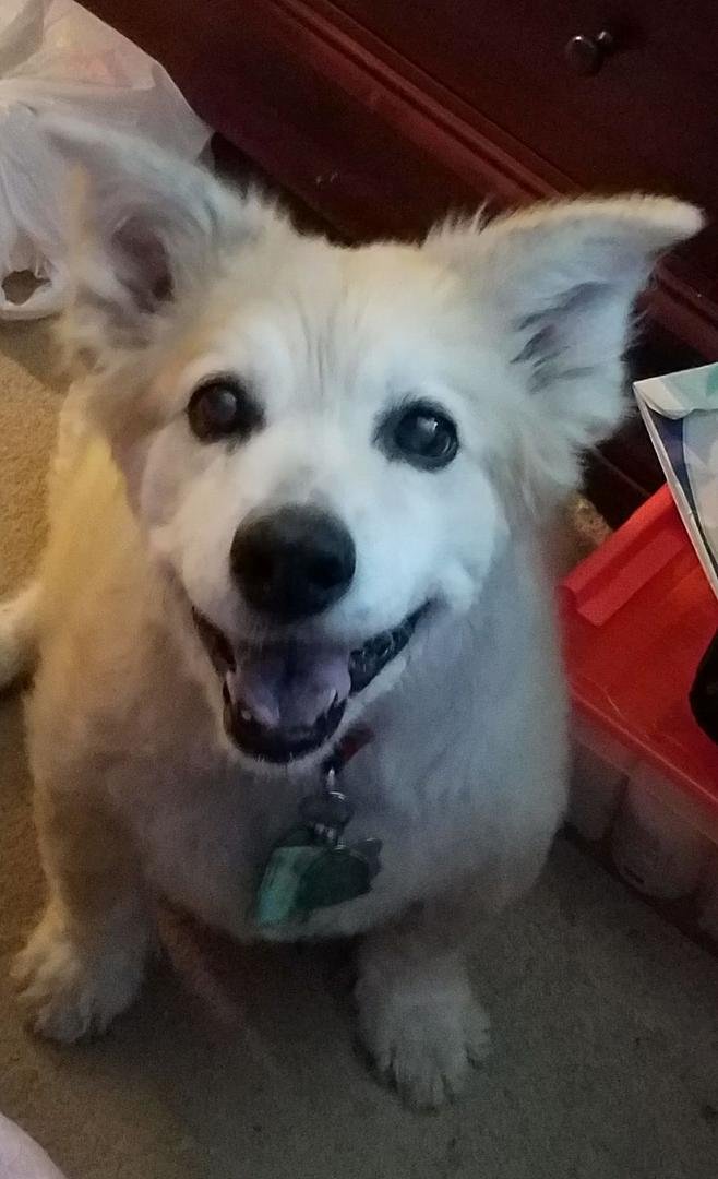 Pretty, smiley girl waiting for her treaties....