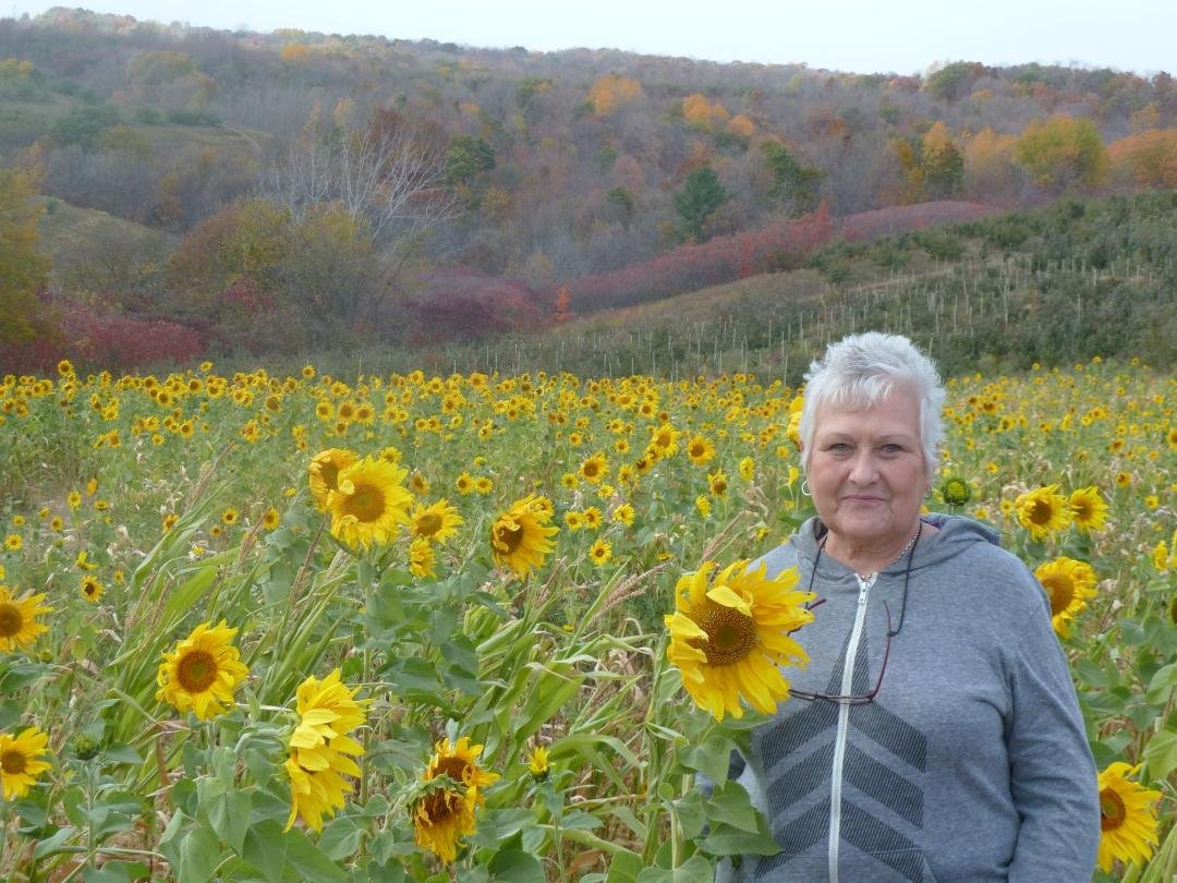 We found this field of sunflowers near Gays Mills, WI this Monday while on our annual trek to Sunrise Orchard for apples!