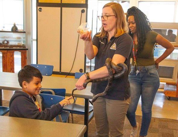 MDC offers free Sensational Serpents program April 6 in Kansas City
Learn about native snakes and the benefits they provide
Kansas City, Mo. – Snakes benefit people by consuming insects and rodents such as mice. Yet we oft