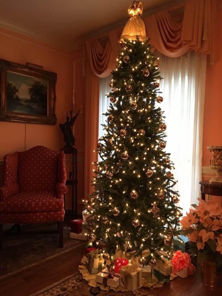 Another Christmas season initiated !!